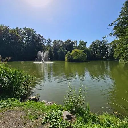 Fe Wo Steffen شقة آلسفلد