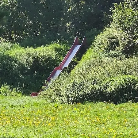 Fe Wo Steffen Alsfeld