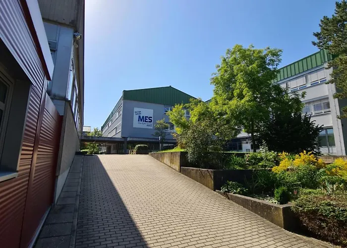 Fe Wo Steffen Alsfeld